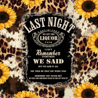 Last Night We Let The Liquor Talk